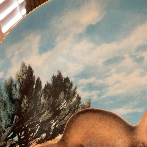 The Black Footed Ferret Will Nelson Vintage Last of Their Kind Endangered Plate - Picture 13 of 15